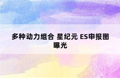 多种动力组合 星纪元 ES申报图曝光